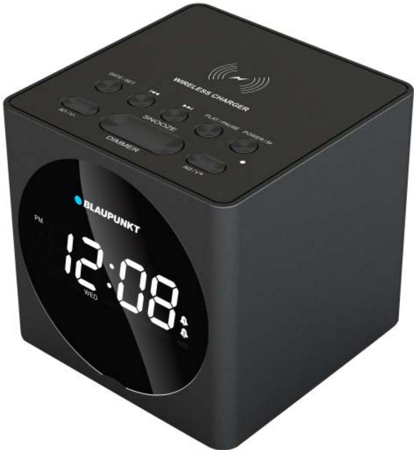 BLAUPUNKT BLP2612 - Manual del usuario - 1