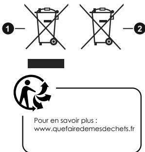 EDENWOOD ED49A01 - [Pour les autres pays hors de l'Union Européenne] - 2