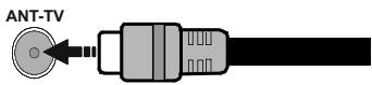 EDENWOOD ED49A02UHD-VE - Parte trasera inferior del televisor - 1