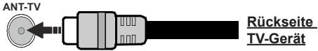 EDENWOOD ED55A01UHD-VE - Anschluss der Antenne - 1