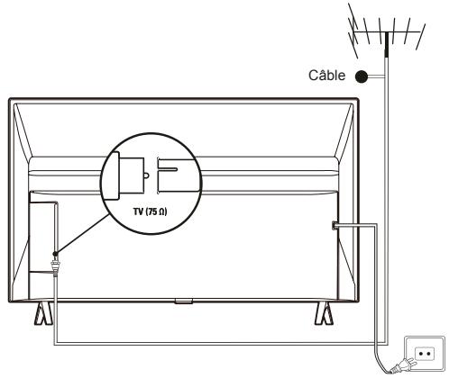TCL 40EZ500 - Branchez l'alimentation et l'antenne - 1