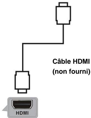 POLAROID TQLED24HD - Connexions de BASE - 2