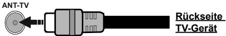 EDENWOOD ED55B01UHD-VE - Anschluss der Antenne - 1