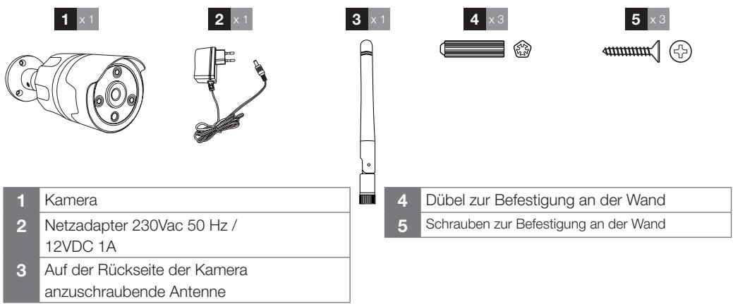 AVIDSEN CAMERA SÉCURITÉ EXTÉRIEURE FIXE - - INHALT DES SETS - 1