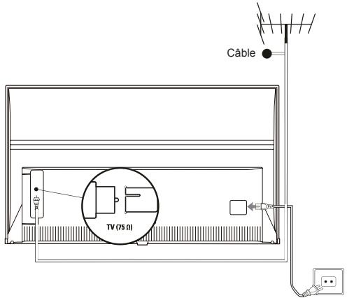 TCL 65DC762 - Branchez l'alimentation et l'antenne - 1