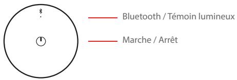 ULTIMATE EARS BOOM 2 PANTHER - BOOM 2 / MEGABOOM - 1
