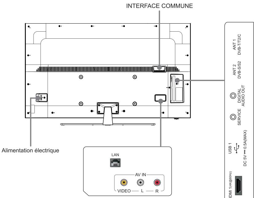 HISENSE H50A6550 - Face arrière du téléviseur - 1