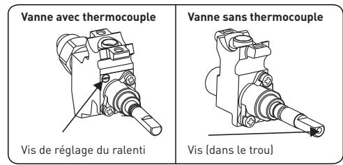 VALBERG GC 60 4CC S 701T - Réglage de la position minimale de la flamme - 1