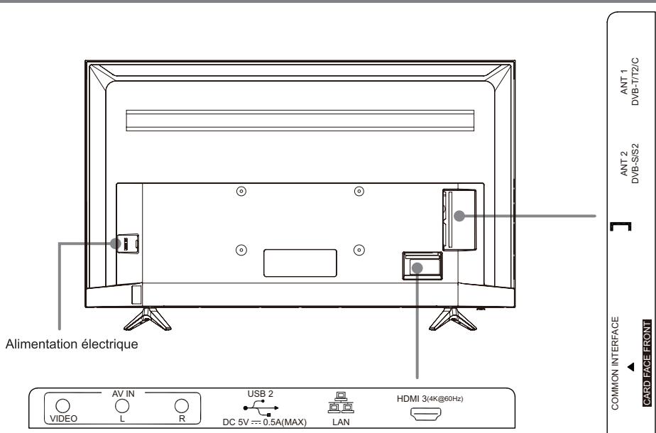 HISENSE H58A6100 - Face arrière du téléviseur - 1