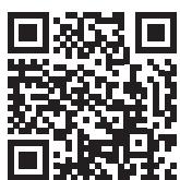 PARTY LIGHT&SOUND 10-9030PLS PARTY-SINGER MICRO & SUPPORT - Reciclarea corectă a acestui produs - 1