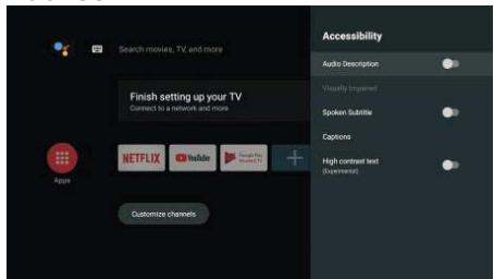 POLAROID TVSAND32HD - ACCESSIBILITA - 1