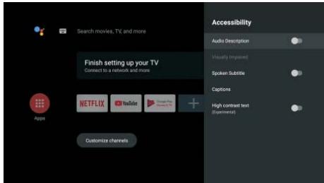 POLAROID TVSAND32HD - ACCESSIBILITY - 1