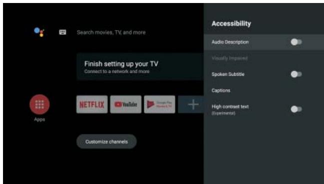 POLAROID TVSAND554K - ACCESSIBILITY - 1