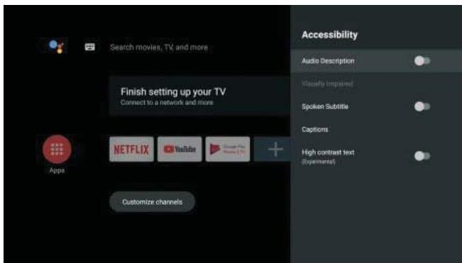 POLAROID TVSAND554K - ACCESSIBILITY - 1