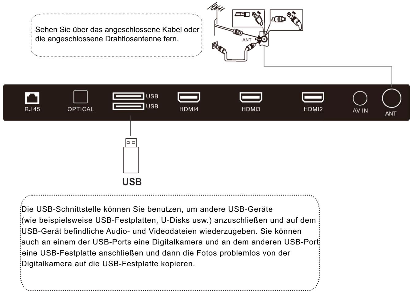POLAROID TVSAND554K - EXTERNE ANTENNE AN DAS GERÄT ANSCHLIESSEN - 5