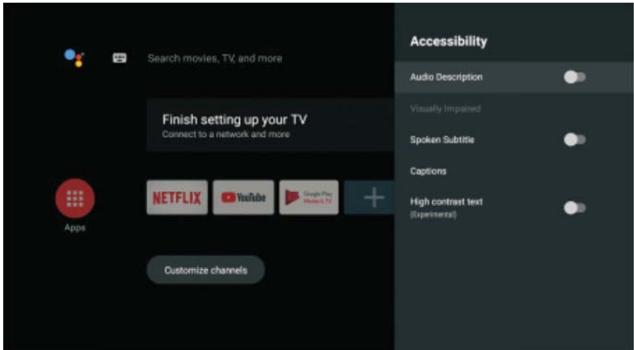 POLAROID TVSAND554K - ACCESIBILIDAD - 1