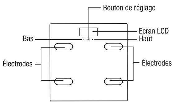 TERRAILLON FITNESS WHITE - Utilisation et entretien - 1
