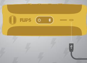 JBL FLIP5 - 13