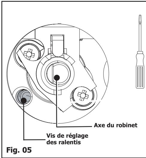 BRANDT BPE 6410 F - CONSEIL - 5