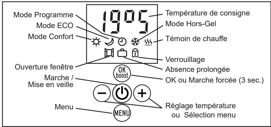 CARRERA PIERRE UNO 1500W - Les commandes - 1