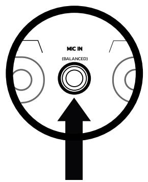 HERCULES DJCONTROL INPULSE 500 - Mikrofon (= wejscie Mic/Aux 1-2) - 1
