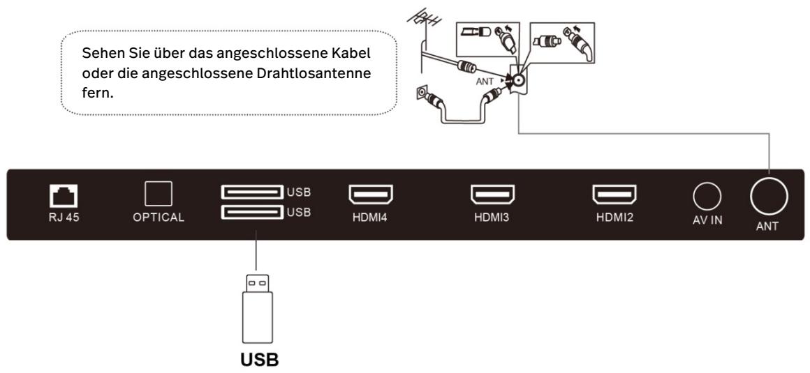 POLAROID TVSAND58 - USB und ANT - 1