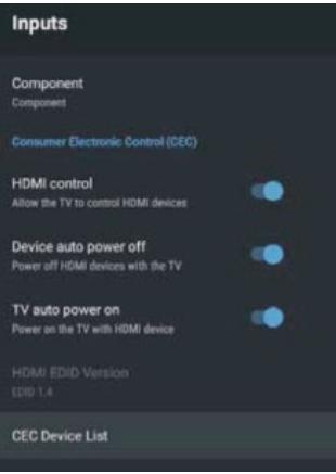 POLAROID TV QLED 65 - INPUT - 2