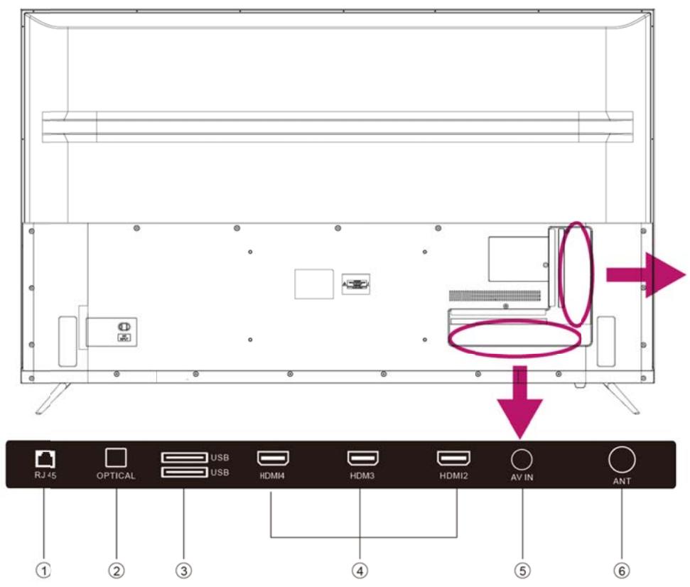 POLAROID TV QLED 65 - Back View - 1
