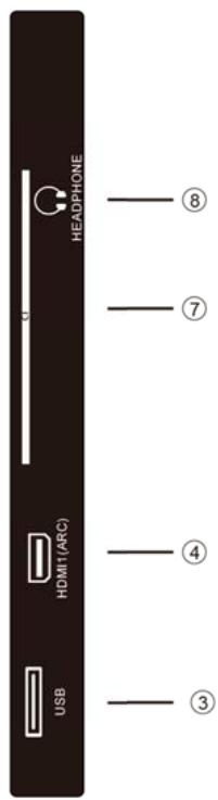 POLAROID TV QLED 65 - Rückseite - 2