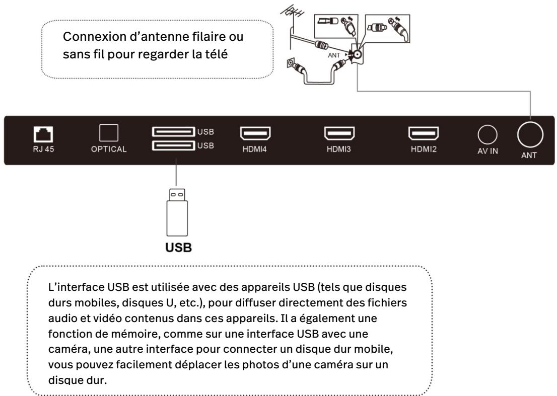POLAROID TV QLED 65 - USB et ANTENNE - 1