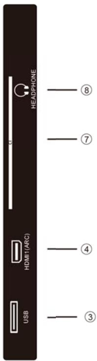 POLAROID TV QLED 65 - Back View - 2