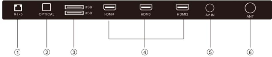 POLAROID TV QLED 65 - Vue arrière - 3