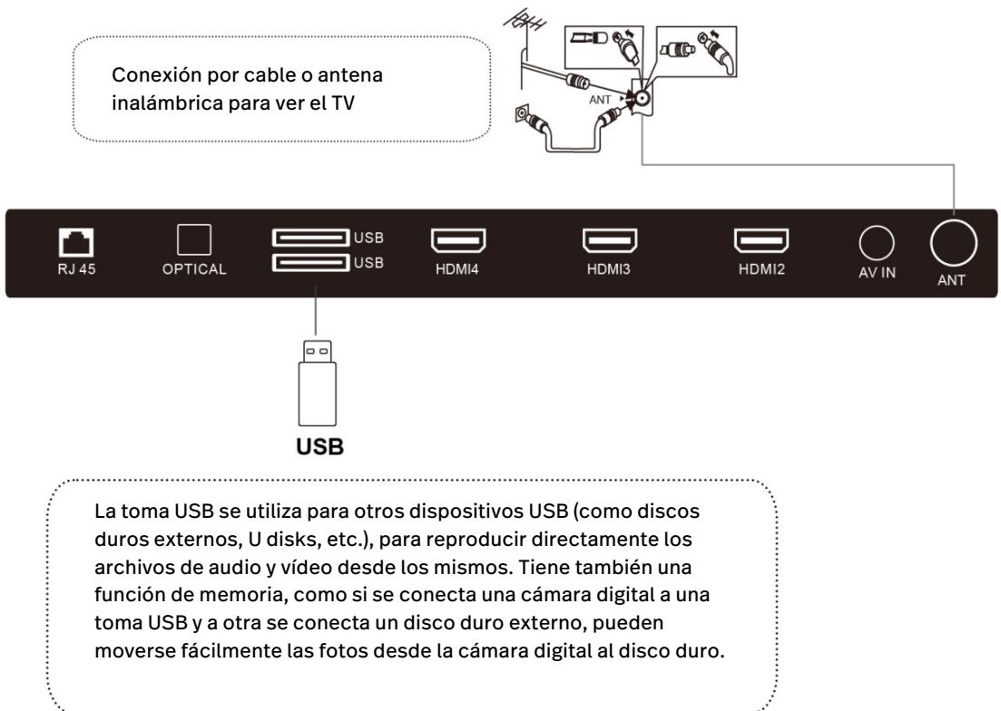 POLAROID TV QLED 65 - óPTICA - 3