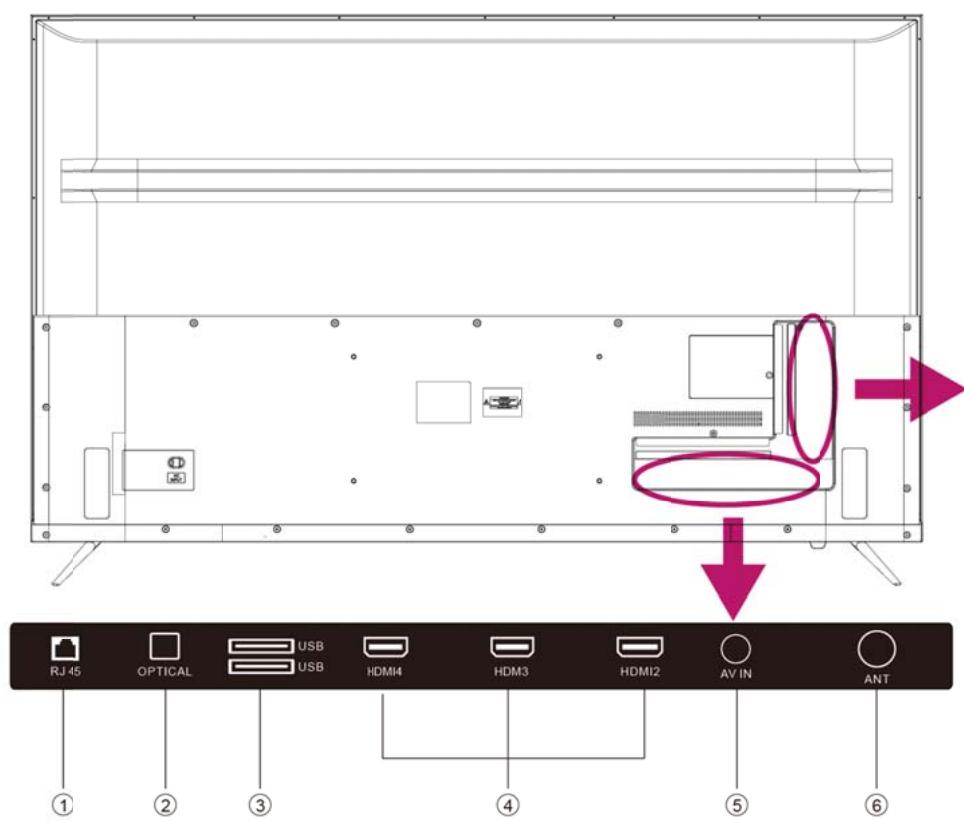 POLAROID TV QLED 65 - Rückseite - 1
