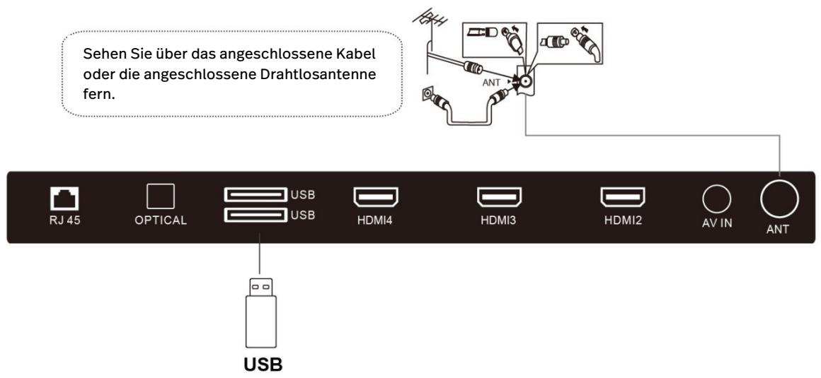 POLAROID TCS65QLEDP - USB und ANT - 1