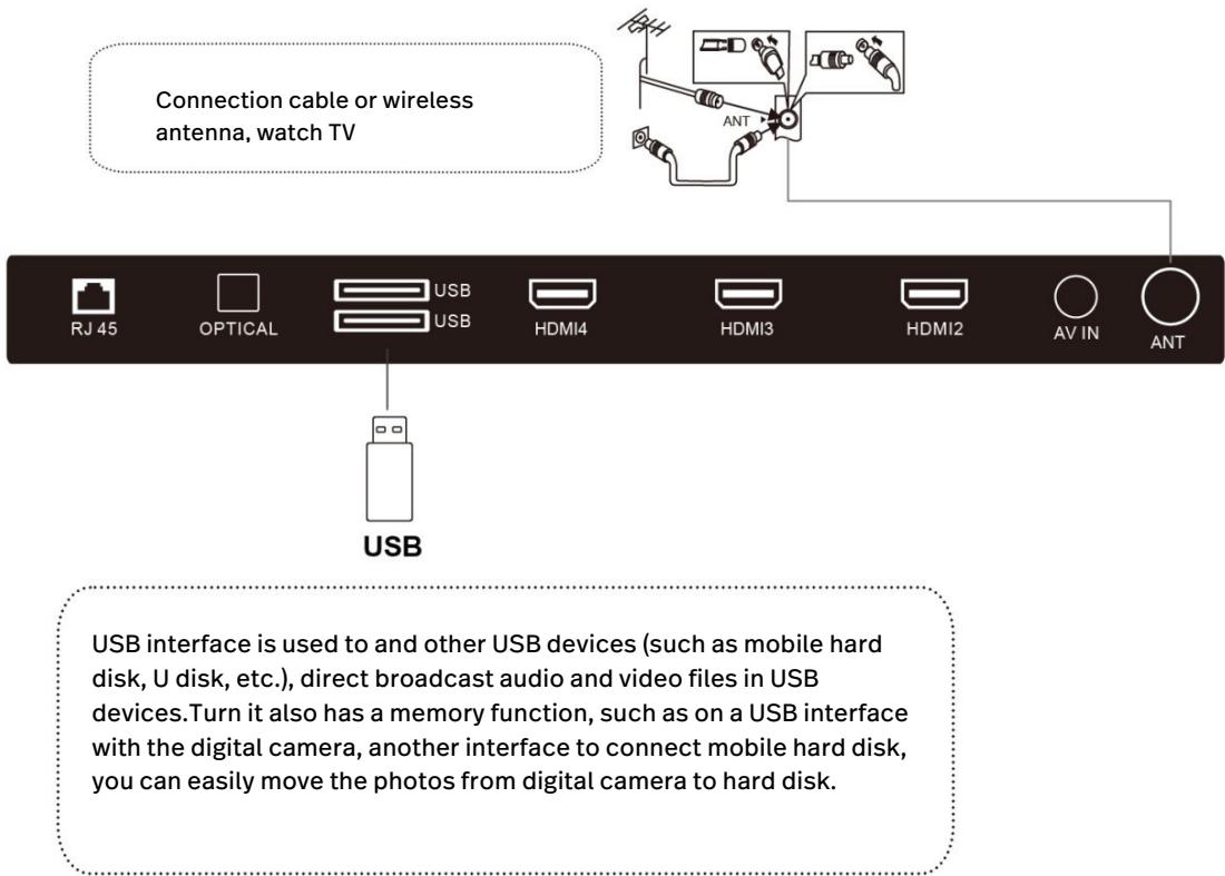 POLAROID TCS65QLEDP - USB and ANT - 1