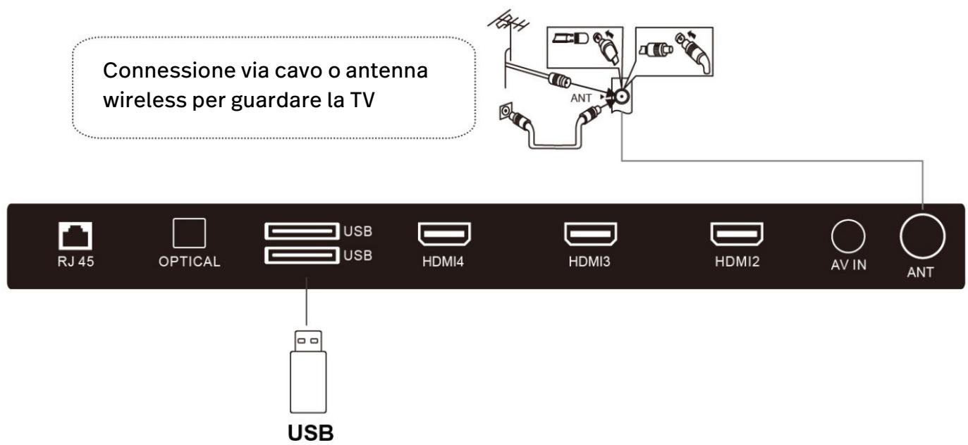 POLAROID TCS65QLEDP - USB e ANT - 1