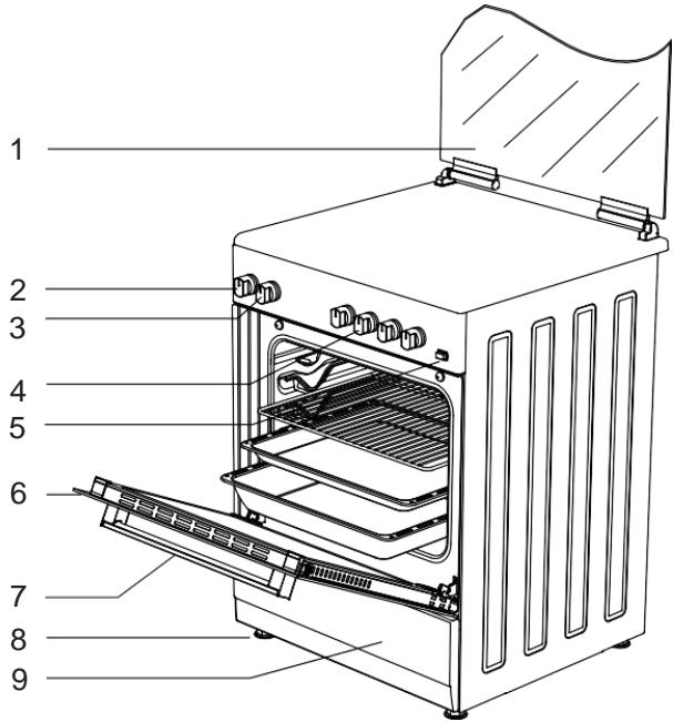 LA GERMANIA SM 67 TX - INTRODUCTION OF THE APPLIANCE - 6