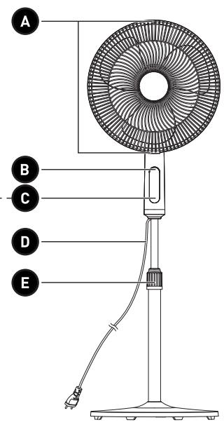 VALBERG INES-B-KOOL - 1