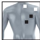 BEURER EM49 - Information regarding the positioning of electrodes - 5