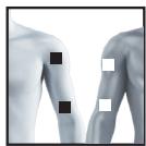 BEURER EM49 - Information regarding the positioning of electrodes - 16