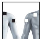 BEURER EM49 - Information regarding the positioning of electrodes - 14