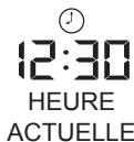 ALECTO BC 100 - 3