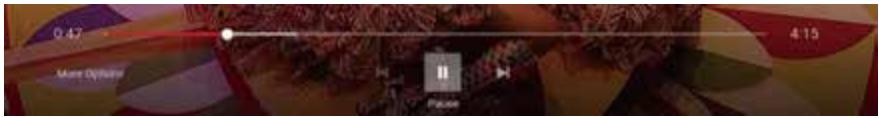 EDENWOOD ED50A01UHD-MM - 1) NETFLIX - 3