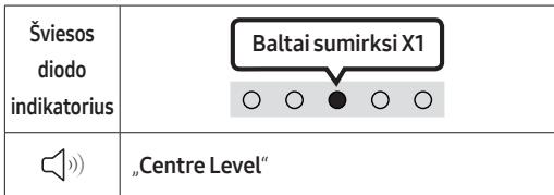 SAMSUNG HW-S50B - CH LEVEL - 1