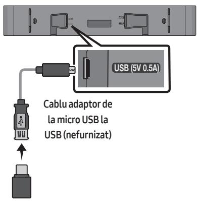 SAMSUNG HW-S50B - CONNECTAREA UNUI DISPOZITIV DE STOCARE USB - 1