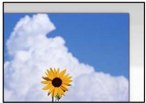 EPSON Workforce WF-2960 - impossible de numériser la zone correcte sur la vitre du scanner - 1