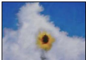 EPSON Workforce WF-2960 - Les photos imprimées sont collantes - 1