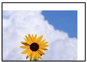 EPSON Workforce WF-2960 - La position, la taille ou les marges de l'impression sont incorrectes - 1