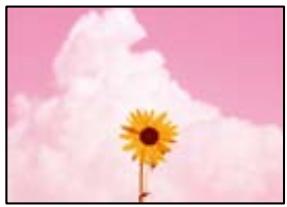 EPSON Workforce WF-2960 - La qualité d'impression est mauvaise - 1